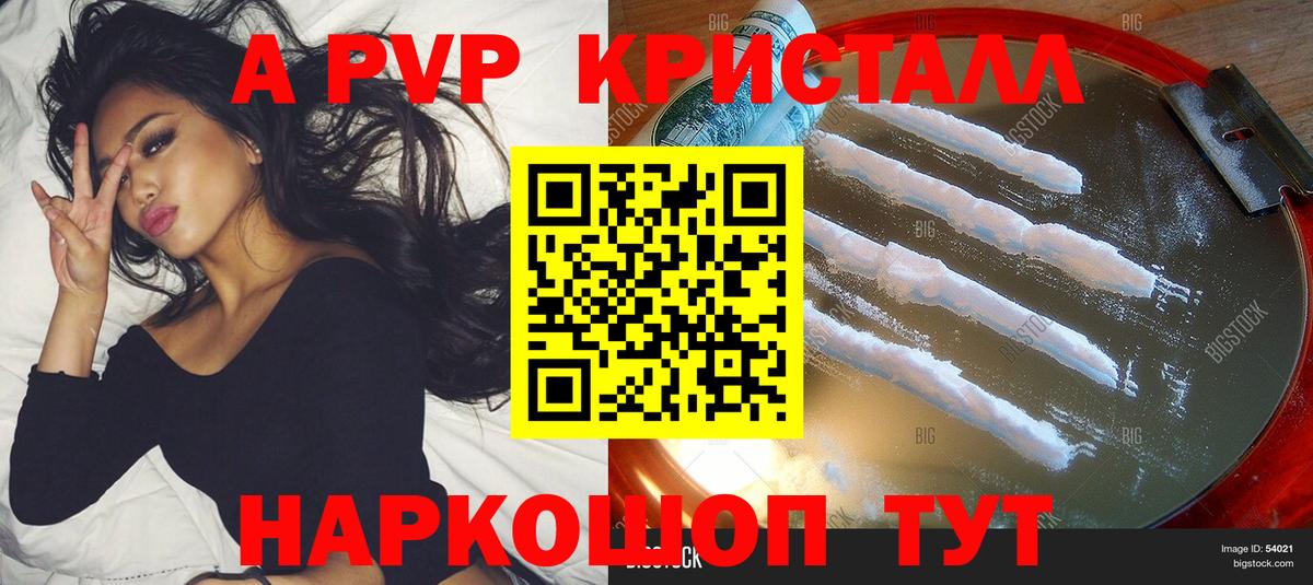 A PVP СК КРИС Полысаево