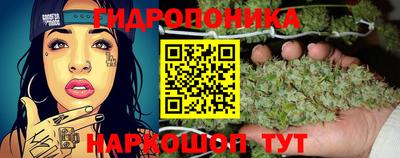 амф Железногорск