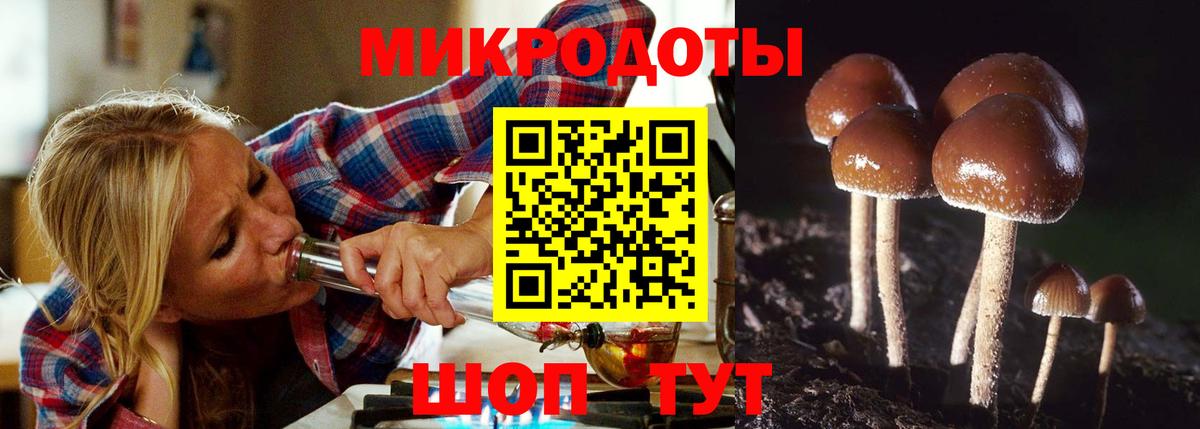 Галлюциногенные грибы ЛСД Полысаево